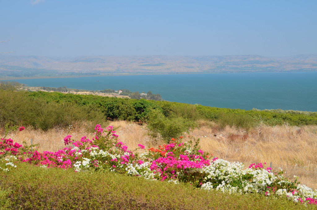 A view of the Sea of Galilee